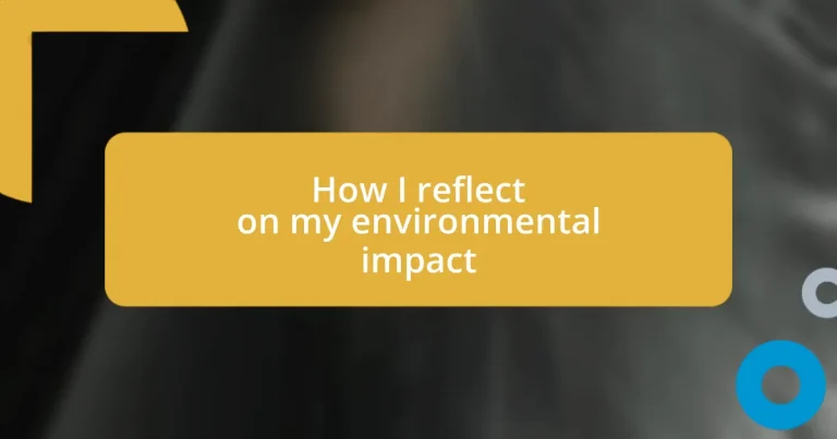 How I reflect on my environmental impact